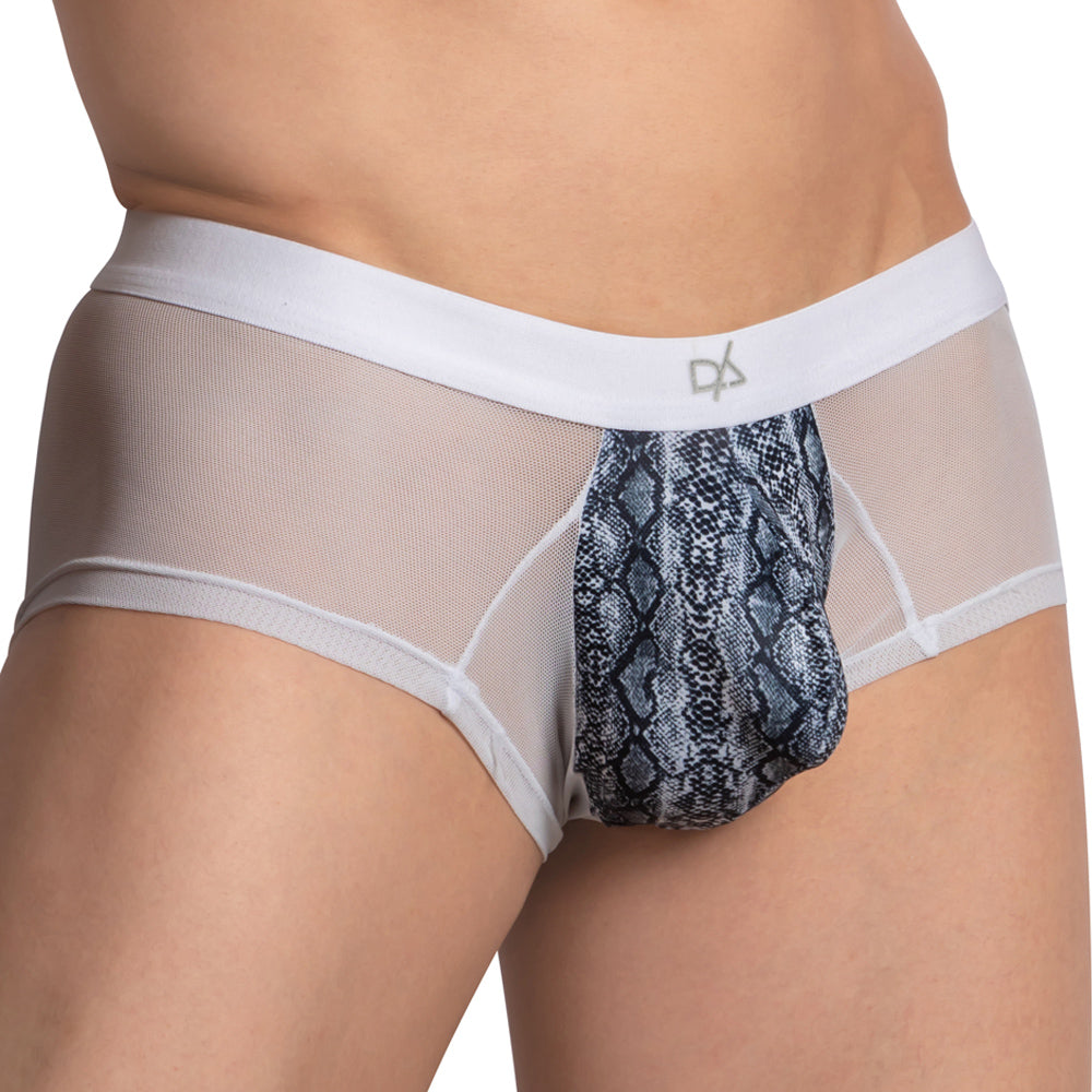 Sheer Underwear – Daniel Alexander Underwear