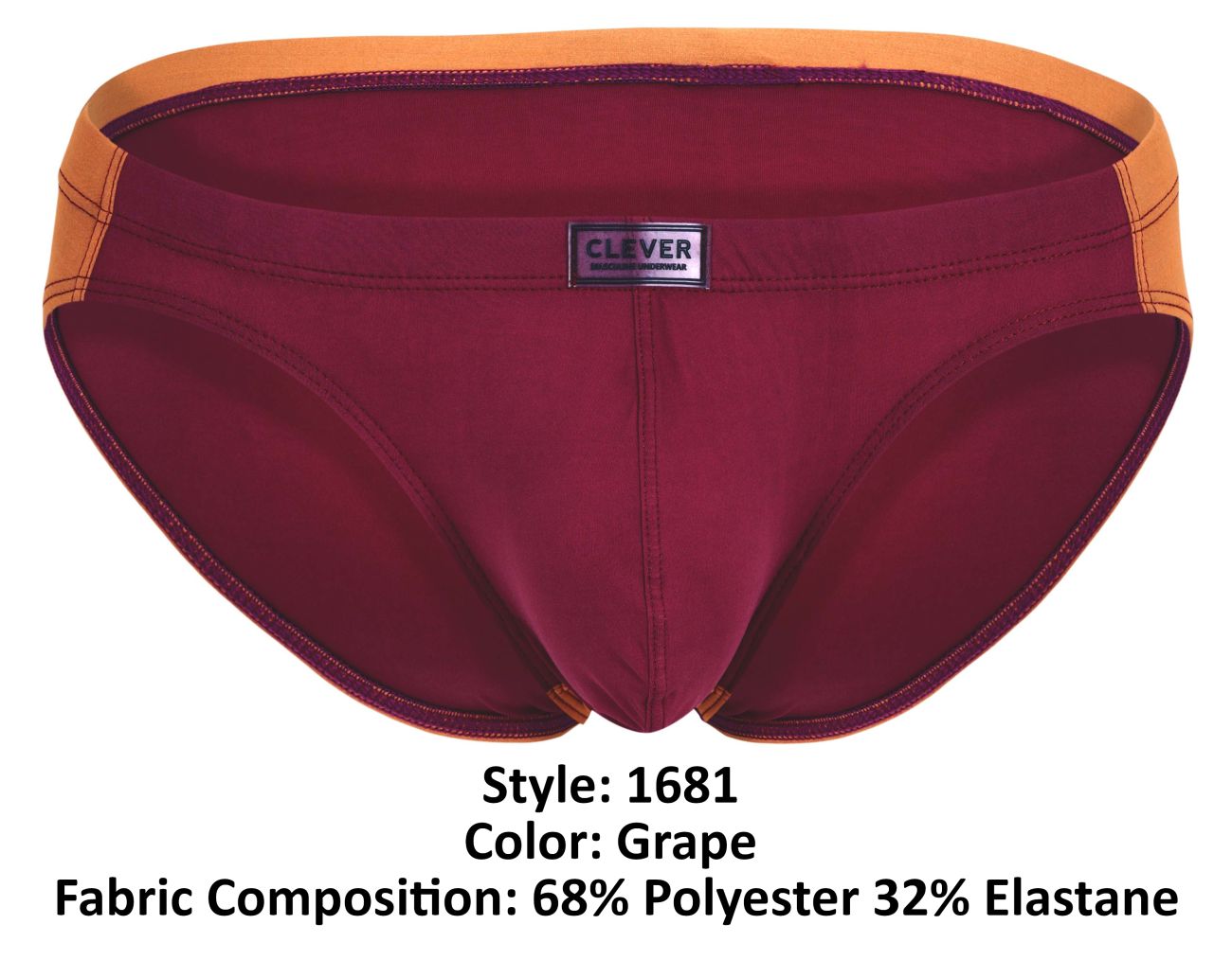 Clever 1681 Two-Tone Bikini Grape