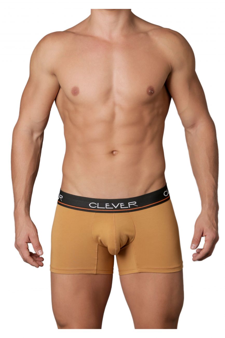 Clever 2199 Limited Edition Boxer Briefs Trunks Brown