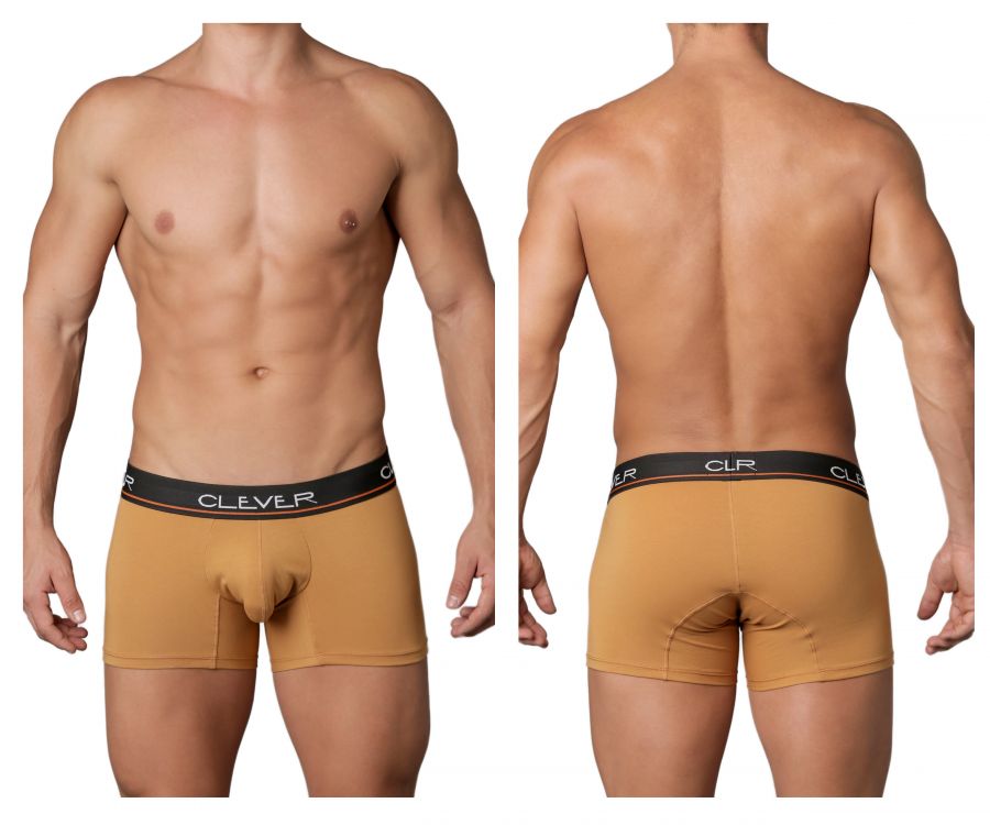 Clever 2199 Limited Edition Boxer Briefs Trunks Brown