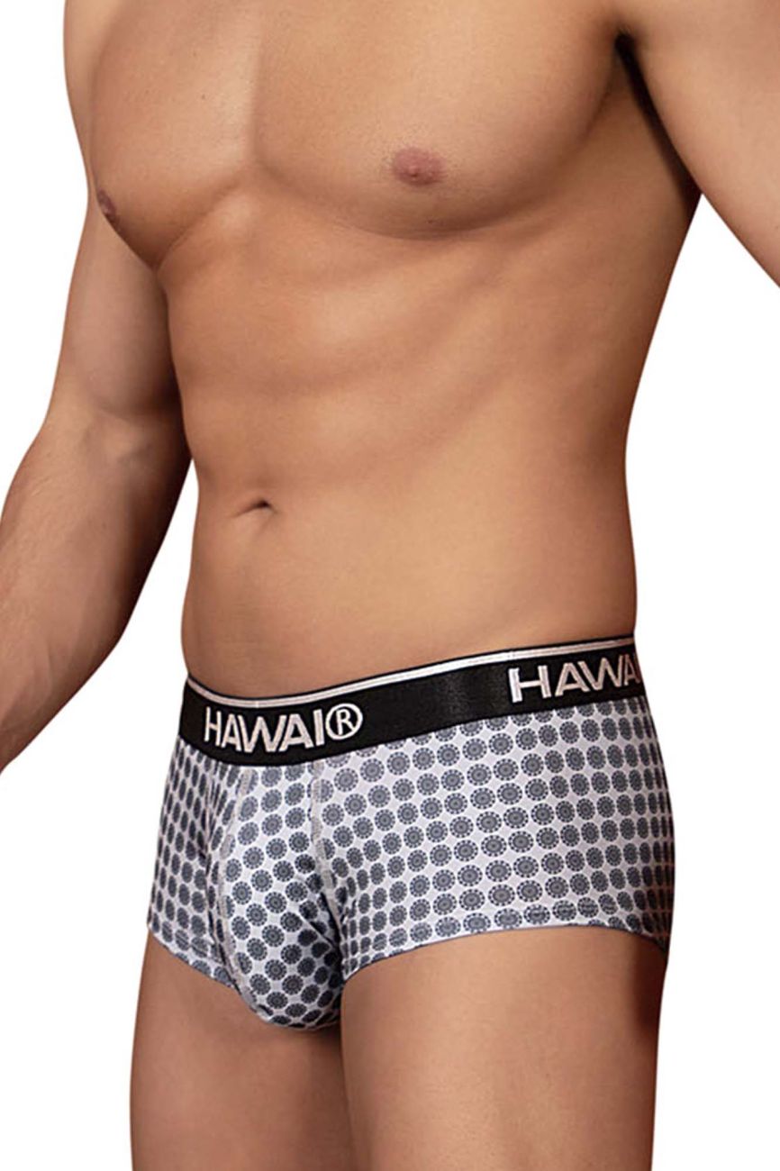 HAWAI 42430 Printed Briefs Grey