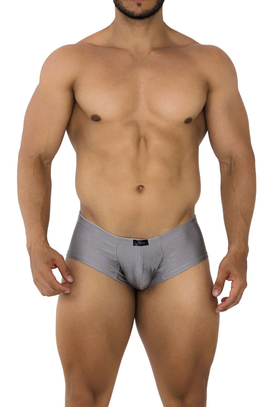 Xtremen 91180 Microfiber Trunks Silver