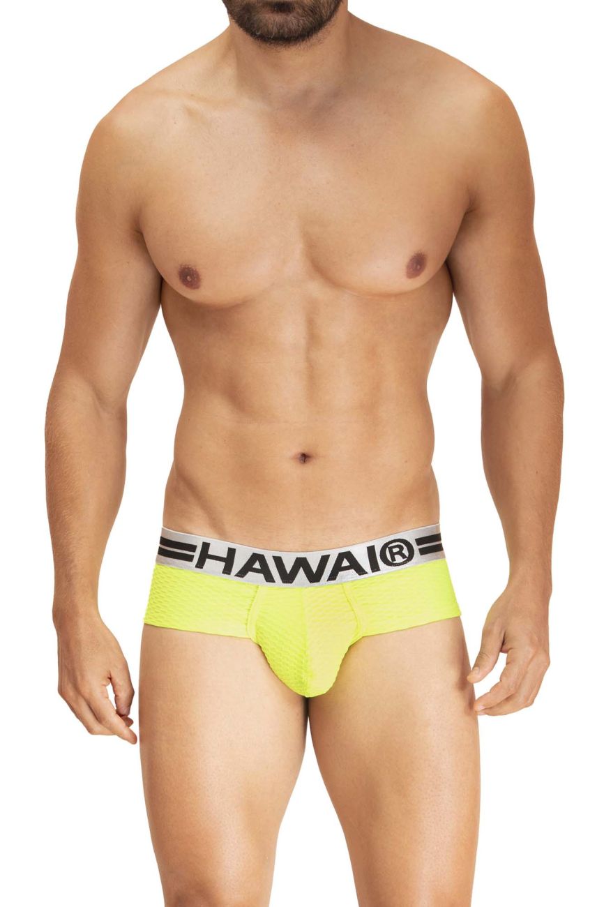Mens Briefs HAWAI 42241 Microfiber Briefs Mens Underwear NEW
